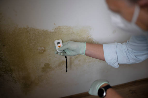 Best Mold Testing  in Hunter, TN